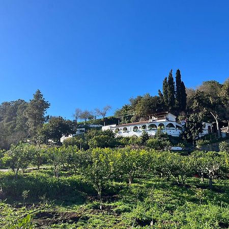 Finca Los Arcos Del Laurel Moya  Exterior foto